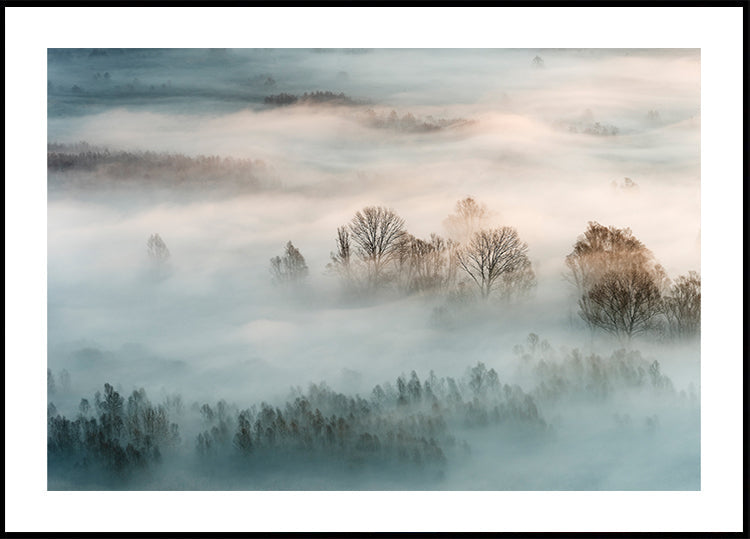 Winter fog Plakat