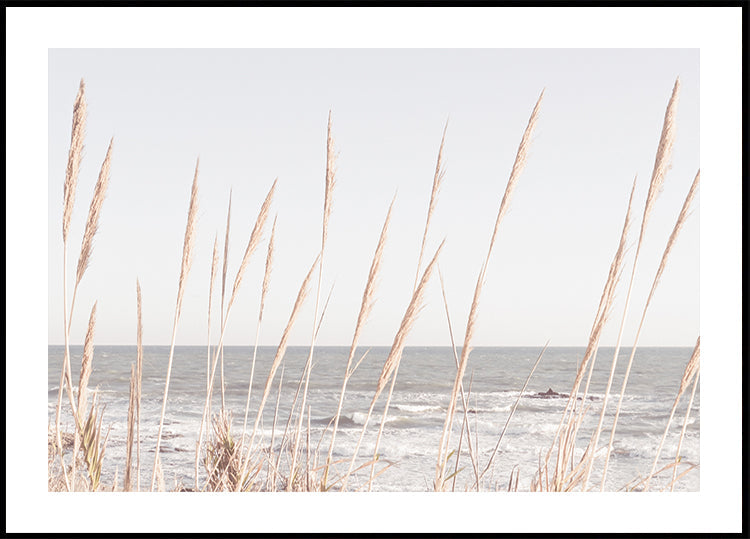 Beach_Vass_002 Plakat