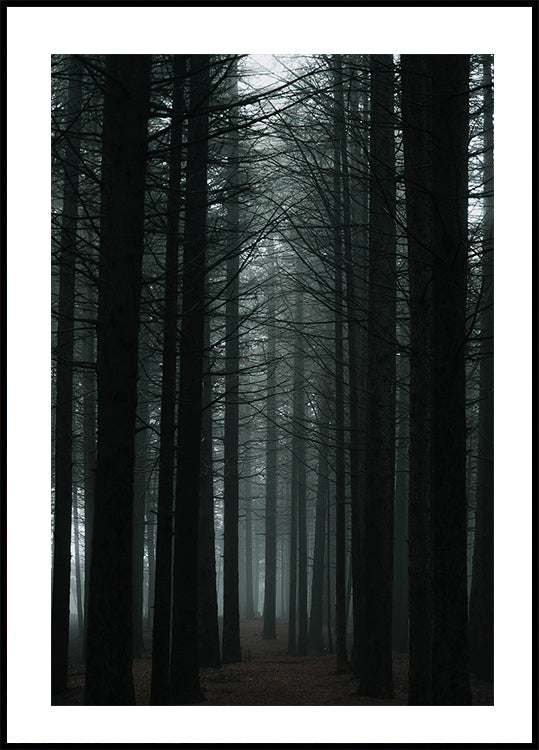 Dark Forest Plakat - Posterbox.dk