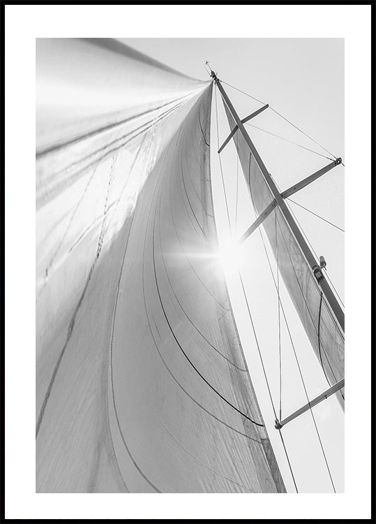 Sail In Sunlight Plakat