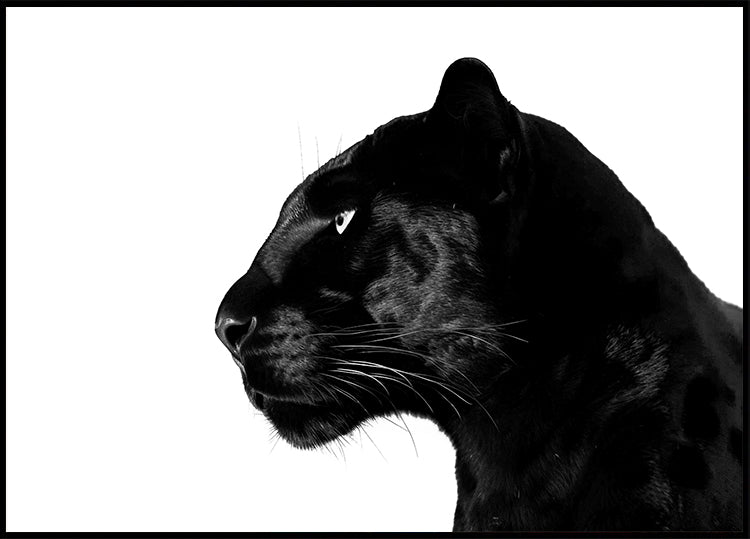 Black Panther Profile Plakat