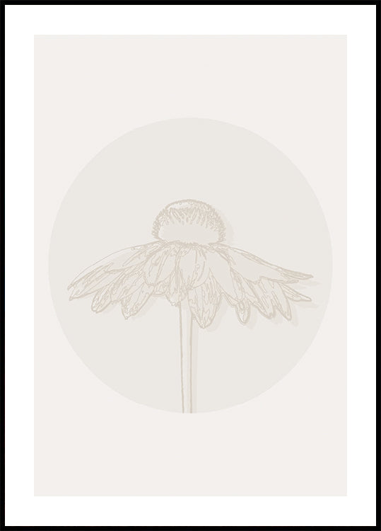 Gaillardia Bloom, Botanical Line Art Plakat