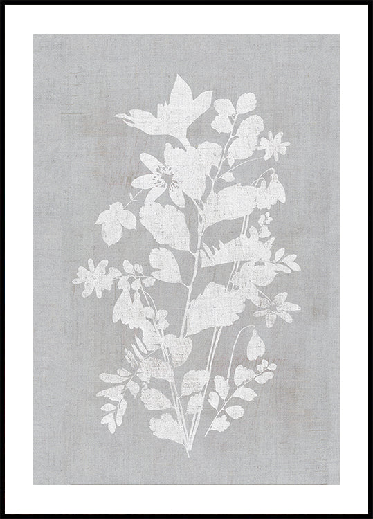 Botanical Illustration 2 Plakat