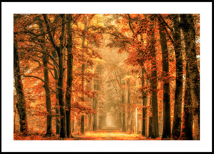 Exit the Portal Plakat