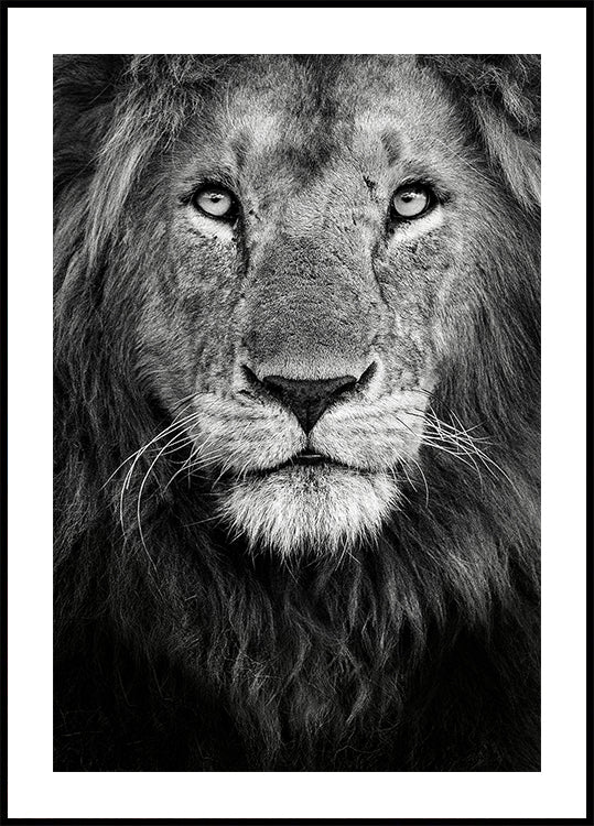 Royal portrait Plakat