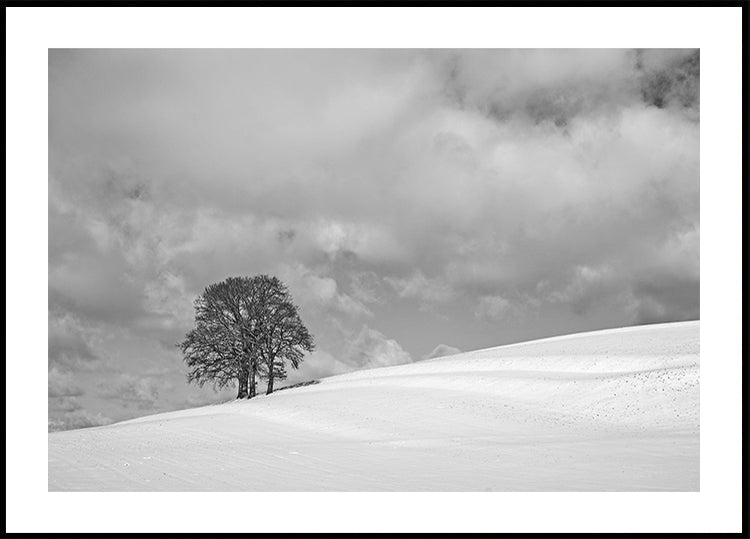 A cloudy winter day Plakat