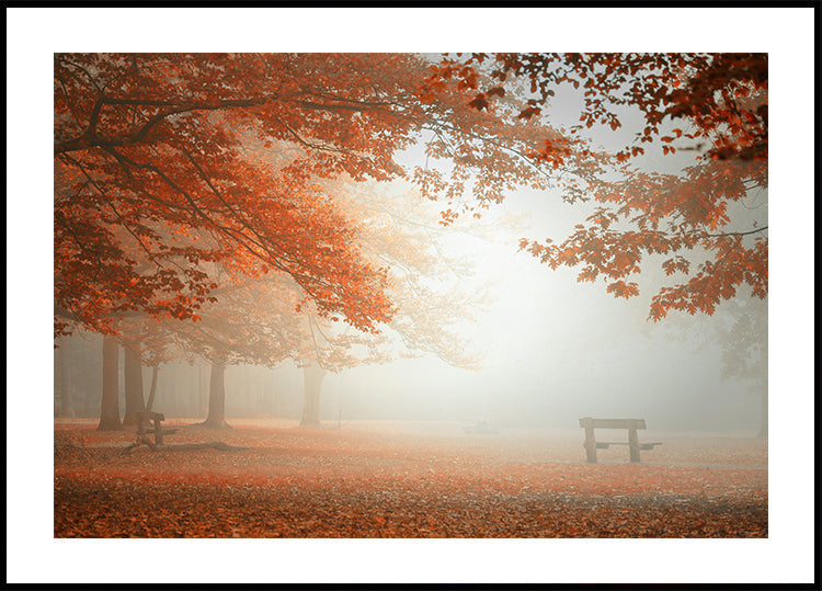 The wonders of nature Plakat