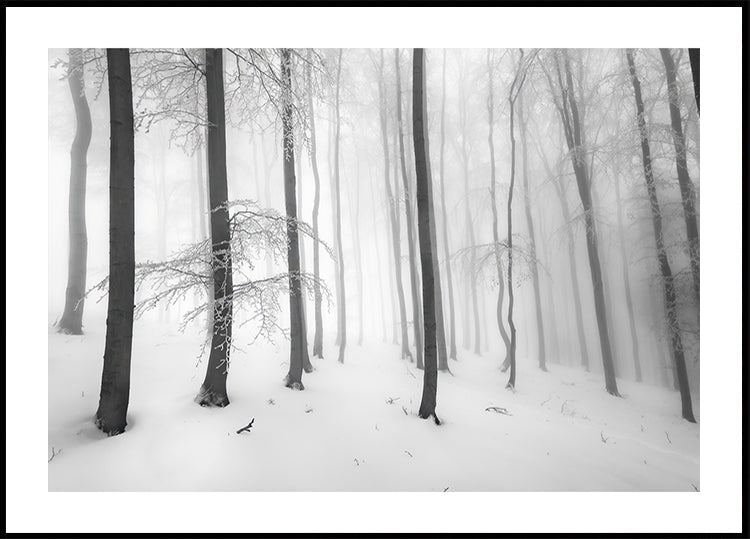 Silence of the forest Plakat