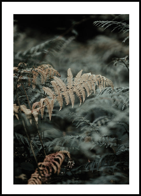 Fern No. 2 Plakat