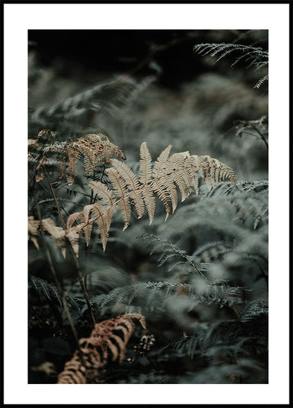 Fern No. 2 Plakat