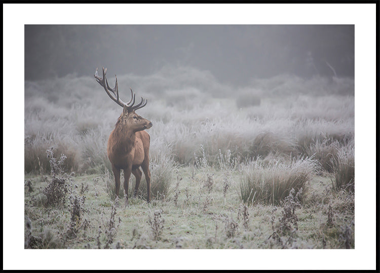 Prideful. deer . Plakat