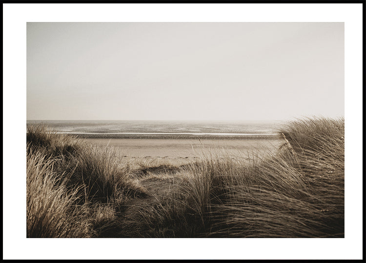 View Of The Beach From Behind The Grass Plakat