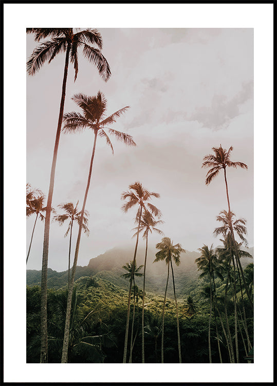 Palms and Mountain Plakat - Posterbox.dk
