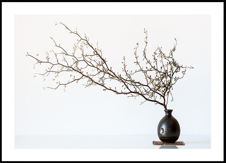 Vase And Branch