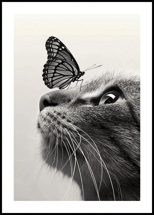 Butterfly Cat Plakat