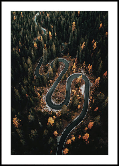 Winding Road in the Forest Plakat