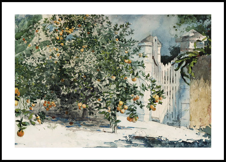 Orange Trees by the Gate Plakat