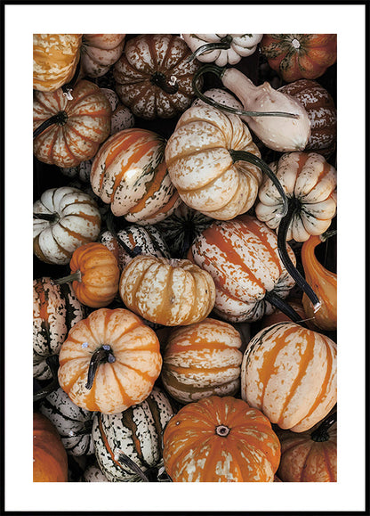 Pumpkin Season Plakat