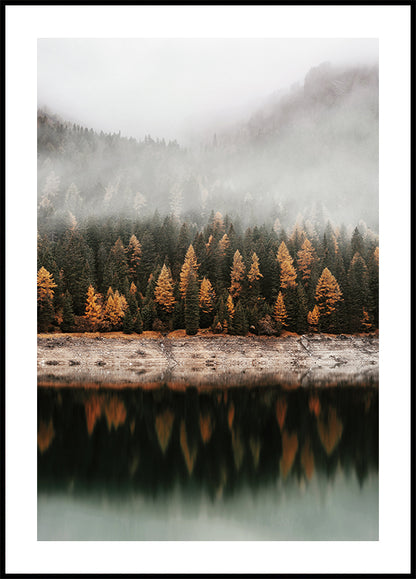 Foggy Autumn Forest Near the Lake Plakat