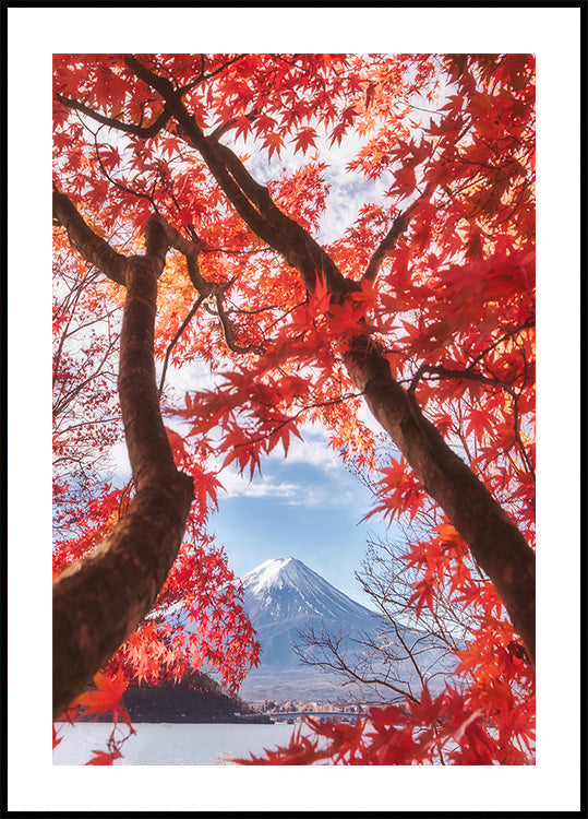 Mt.fuji is in the autumn leaves Plakat
