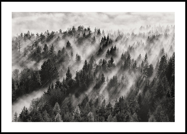 Sundance No.1 Plakat