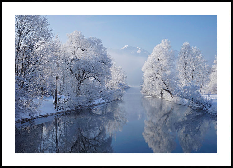 coldest morning Plakat