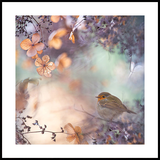 Hydrangea fantasy Plakat