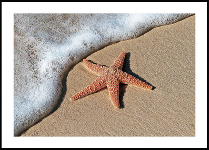 Starfish on the Beach Shoreline Plakat