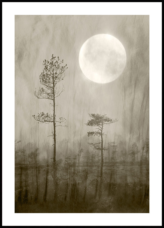 Moonlight Moor Plakat