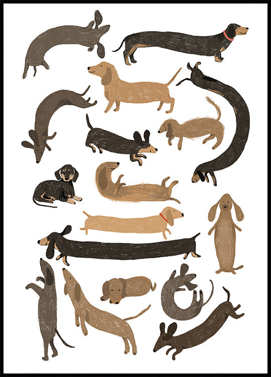 Dachshund Print Plakat