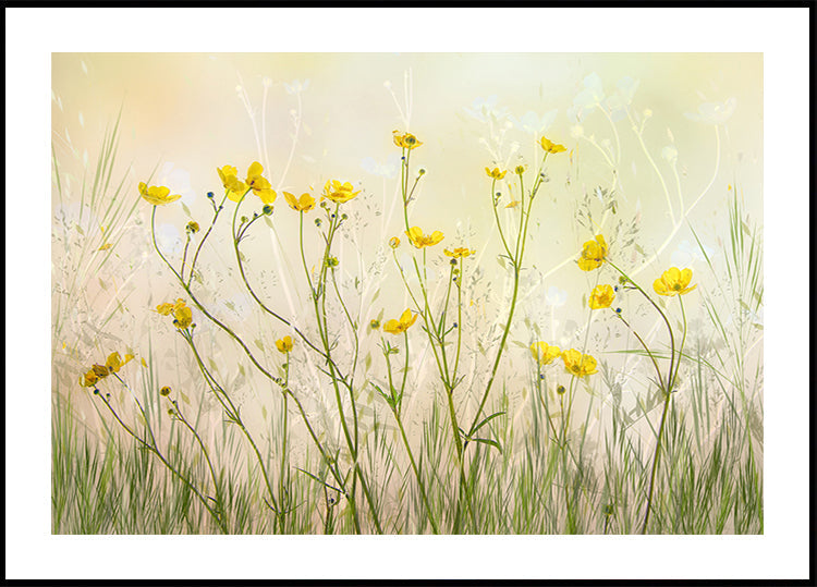 Good morning! Plakat