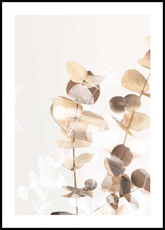Eucalyptus Creative Gold 01 Plakat