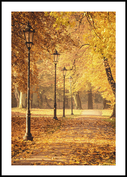 Golden Autumn Park Path Plakat