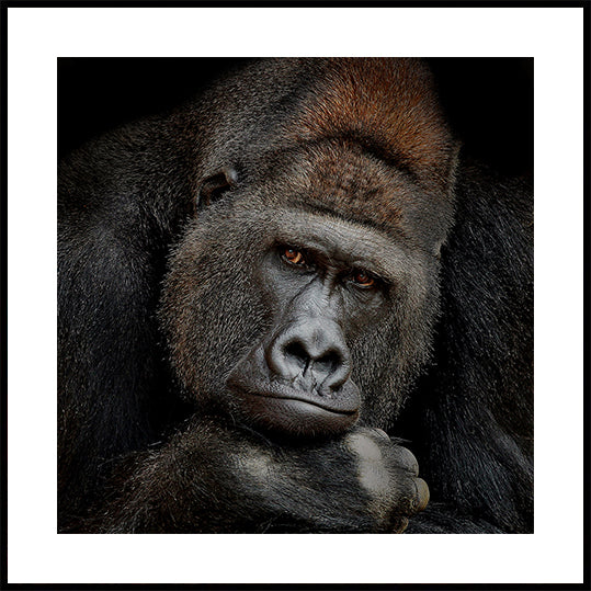 ONE MOMENT IN CONTACT Plakat