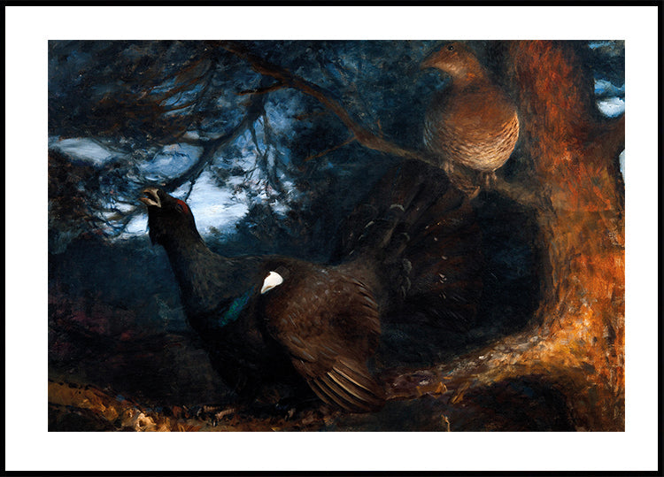 The Mating of the Capercaillies By Bruno Liljefors Plakat - Posterbox.dk