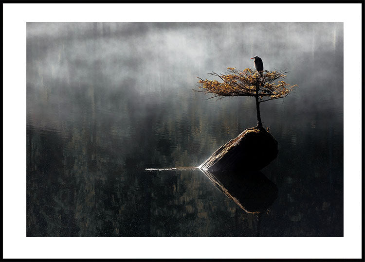 Heron Sitting On The Bonsai Tree Plakat - Posterbox.dk