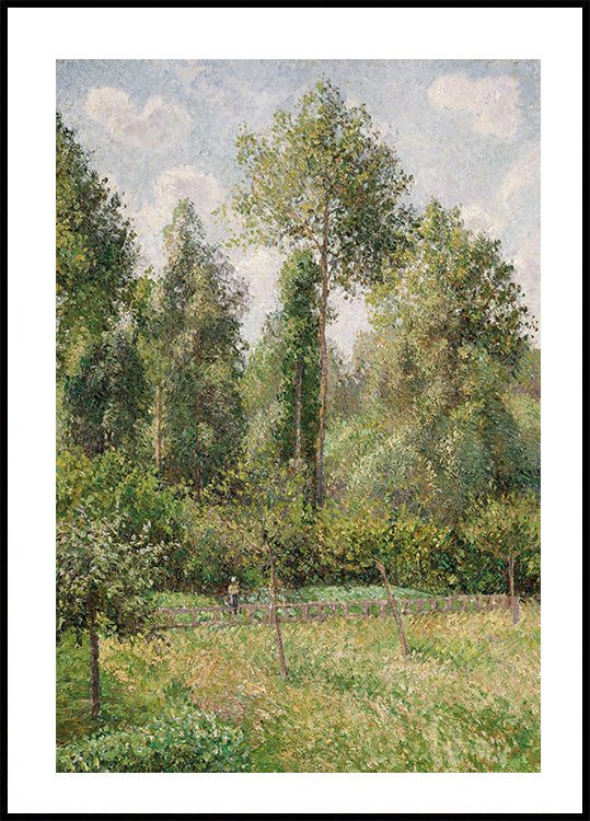 Poplars Éragny By Camille Pissarro Plakat - Posterbox.dk