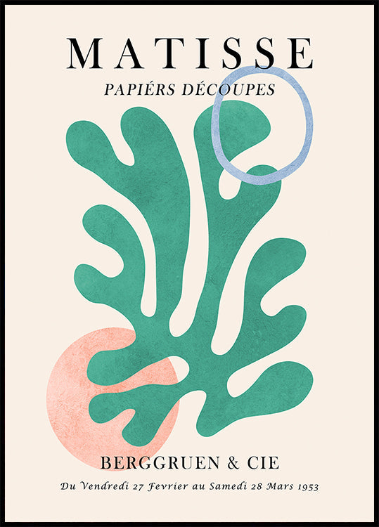 Matisse floral 6 Plakat