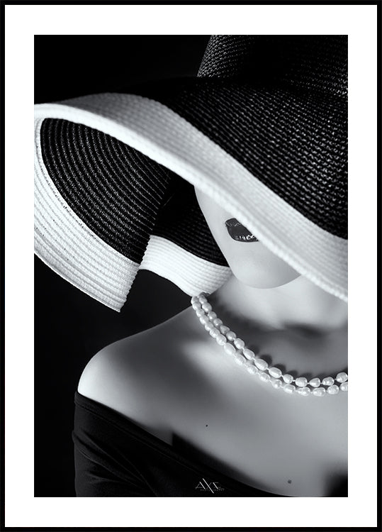 Elegance in Shadow Plakat