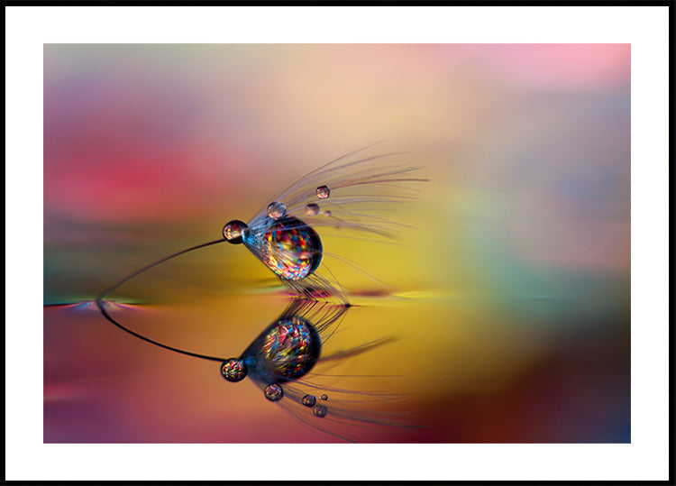 Colorize the darkness