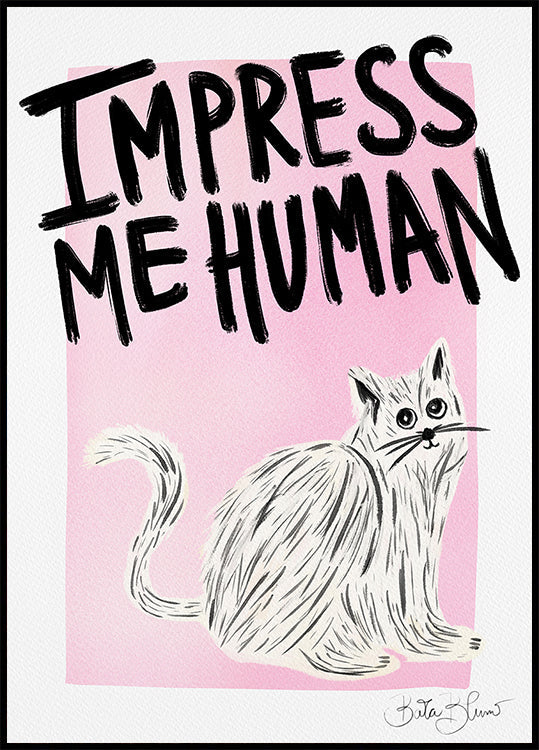 Cat Owner - Impress Me Human Plakat