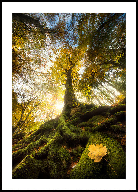 The goodbye of a leaf