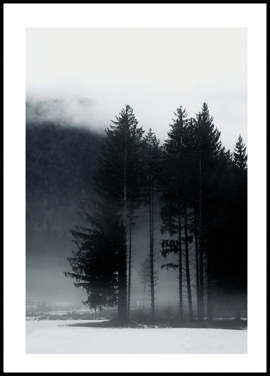 Pine Tree In a Foggy Field Plakat - Posterbox.dk