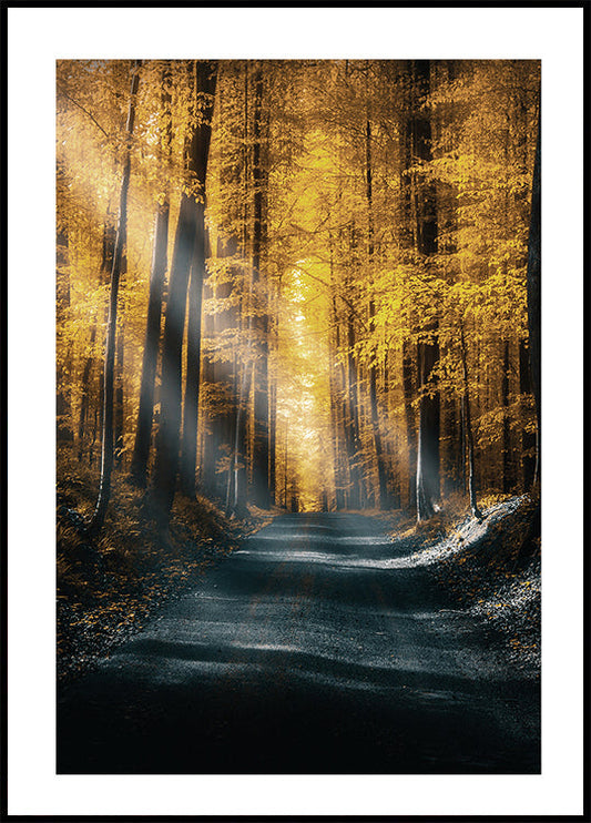 Autumn Forest Plakat