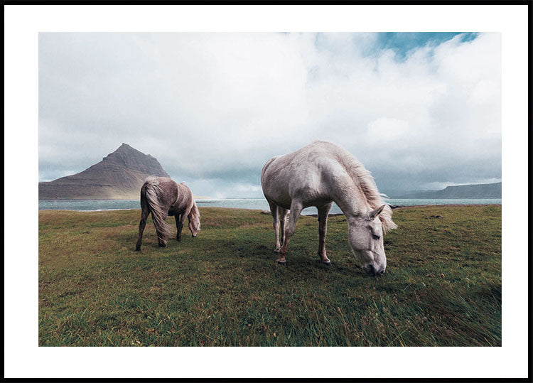 Horses by A Lake Plakat - Posterbox.dk