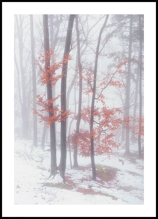 Autumnal snow Plakat