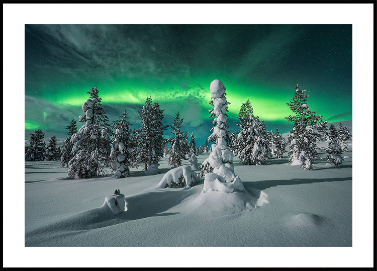 polar night Plakat