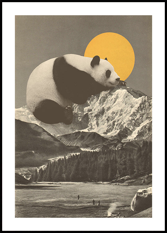 Giant Panda Nap Plakat