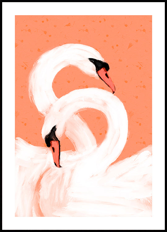 Graceful Swans