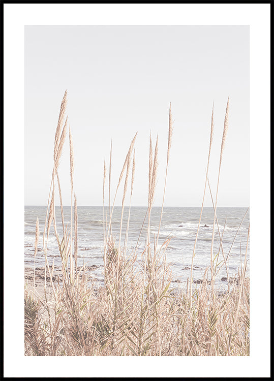 Beach_Vass_001 Plakat